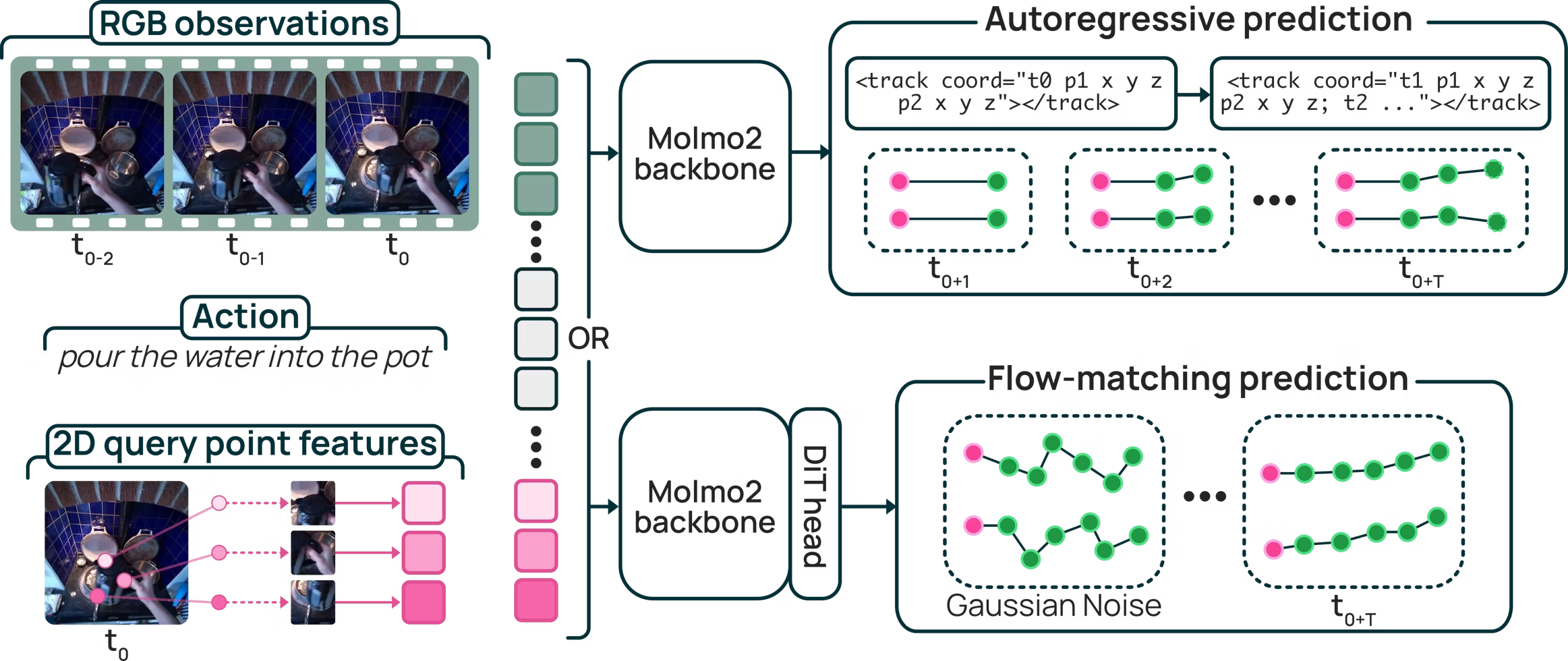 MolmoMotion model architecture diagram showing input video, 3D point annotation, language instruction, and predicted trajectory outputs