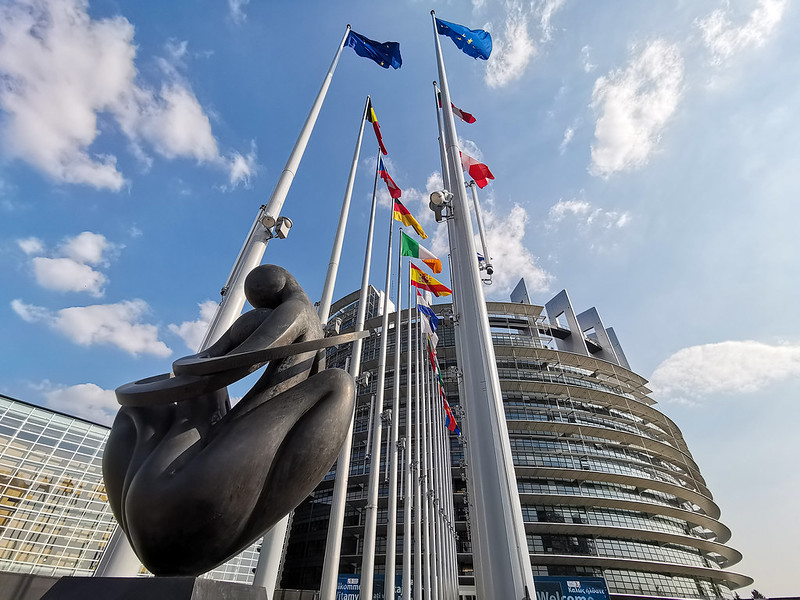 European Parliament member speaking at the plenary hemicycle in Strasbourg