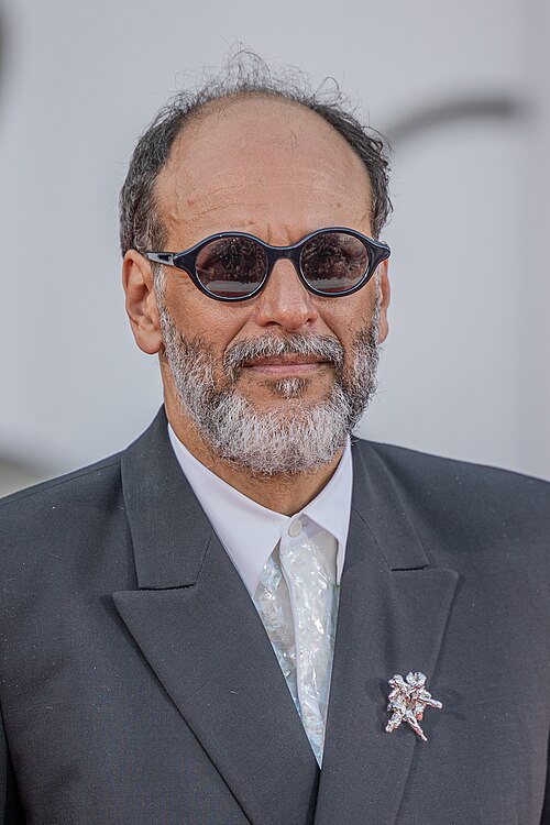 Luca Guadagnino at a public event