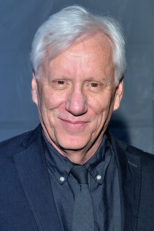 James Woods at a public event in 2015