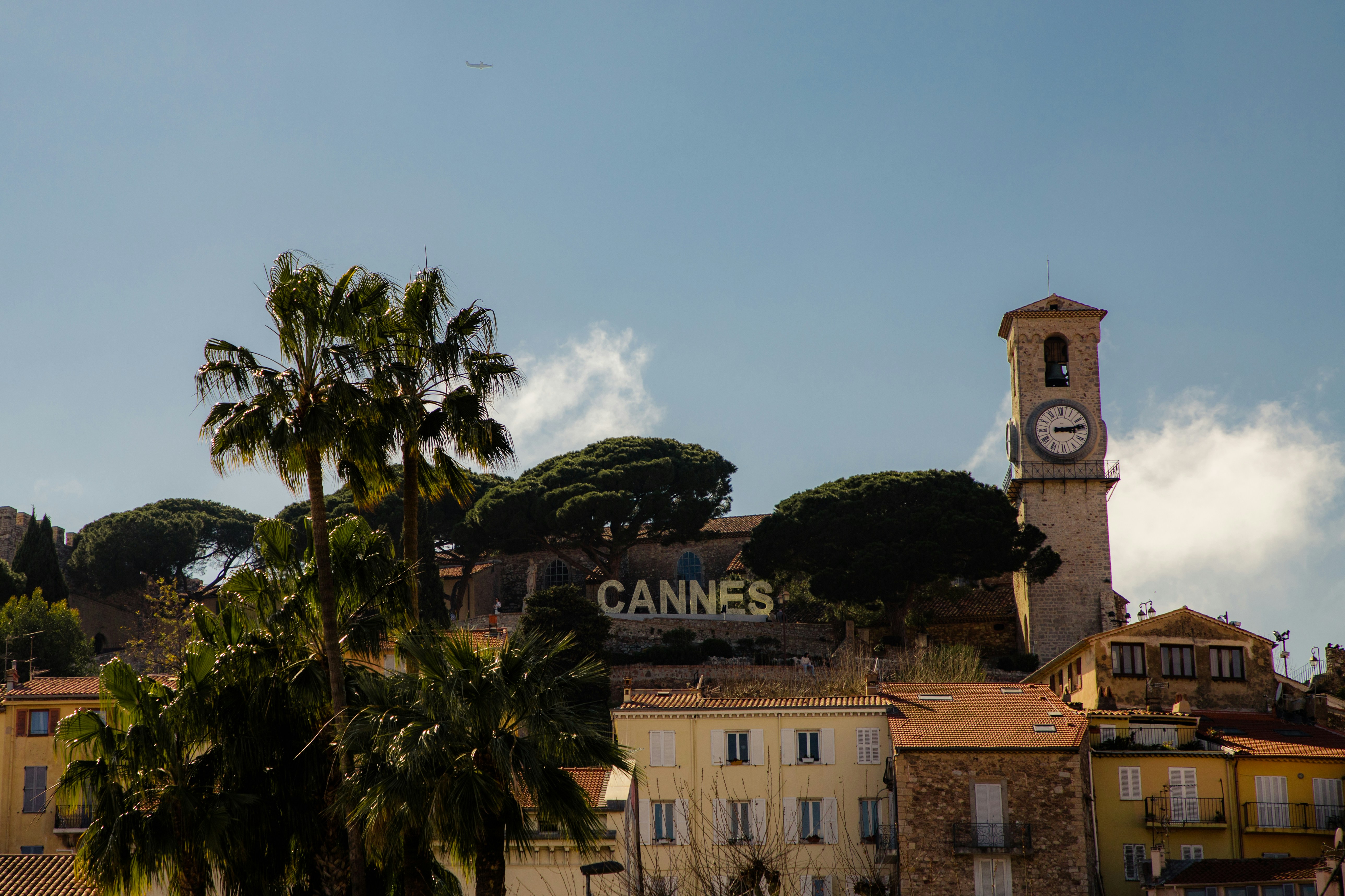 Clock tower on a building flanked by palm trees