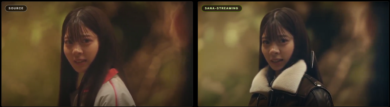 SANA-Streaming architecture overview showing the Hybrid Diffusion Transformer design